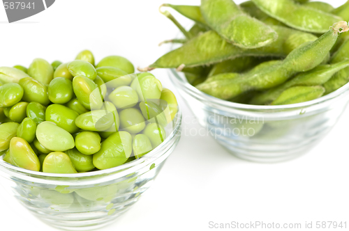 Image of Soy beans