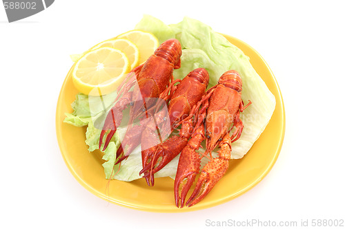 Image of crawfish