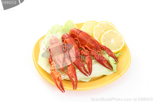 Image of crawfish