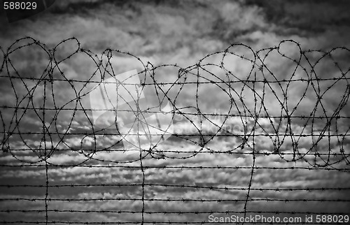 Image of restrictions barbed wire black and white