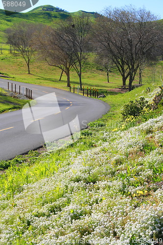 Image of Scenic Road In Park