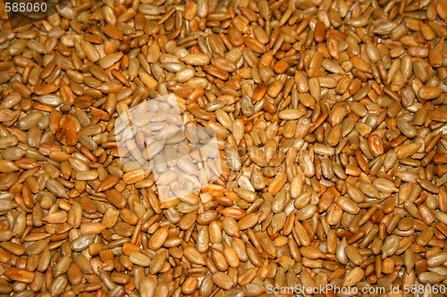 Image of Sunflower Seeds