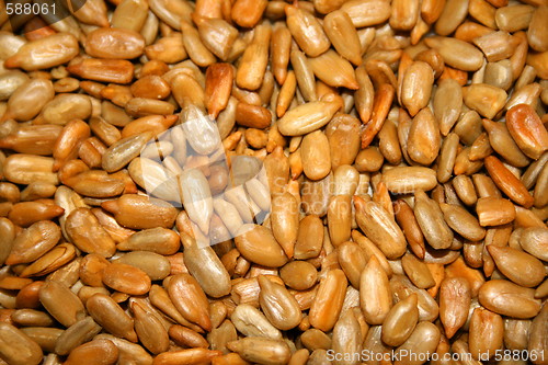 Image of Sunflower Seeds