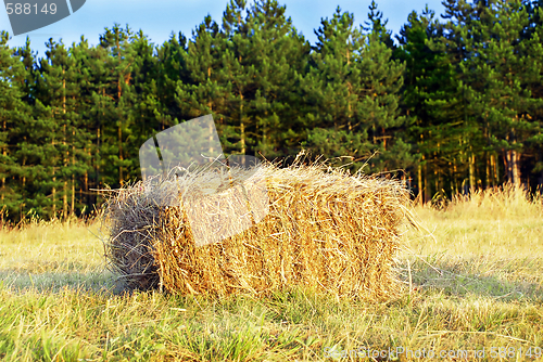 Image of Wafer of hay