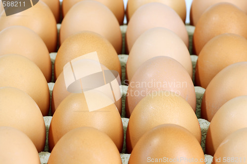 Image of Brown eggs