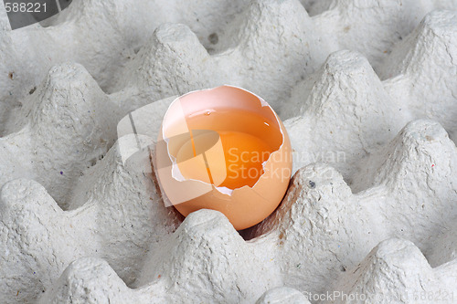 Image of Fresh eggs