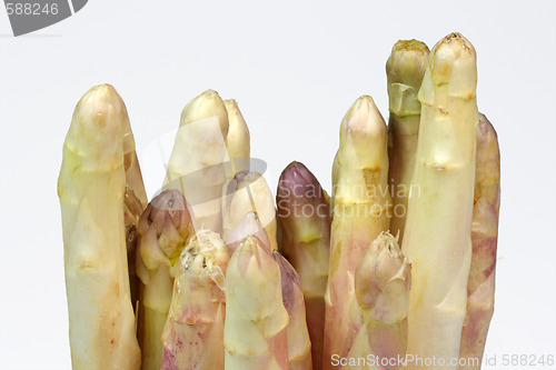 Image of Asparagus