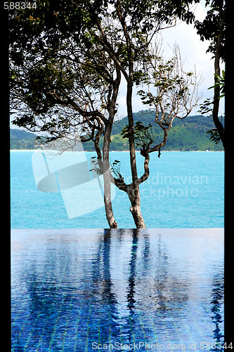 Image of Infinity swimming pool 