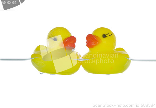 Image of two ducklings