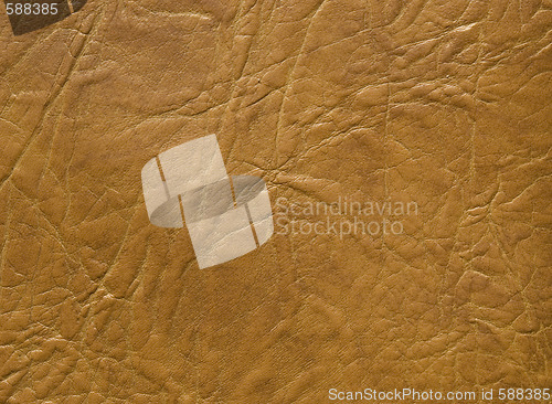 Image of leather