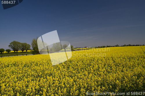 Image of spring