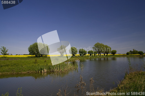 Image of spring