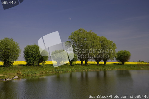 Image of spring