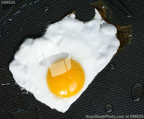 Image of fried egg