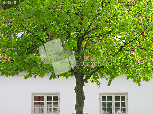 Image of Spring in town