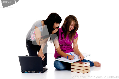 Image of Teenager girls studying 