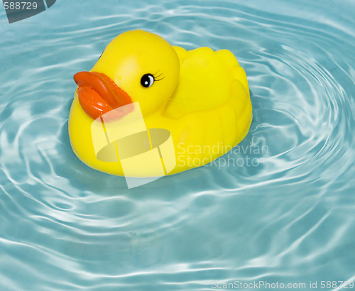 Image of rubber duck