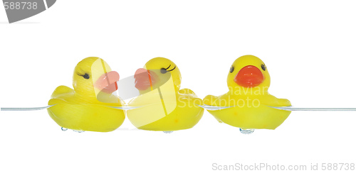 Image of rubber ducks