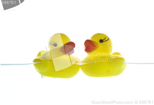 Image of two rubber ducks