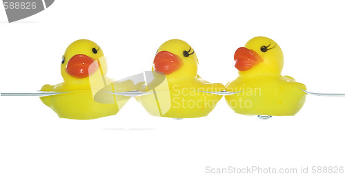 Image of rubber ducks