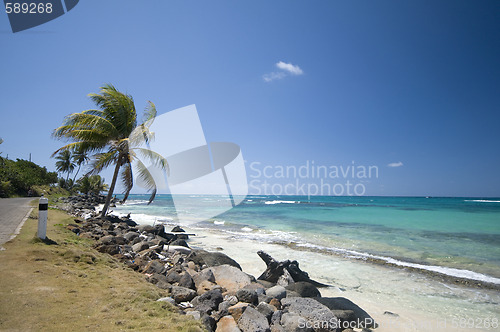 Image of seaside malecon road sallie peachie beach corn island nicaragua