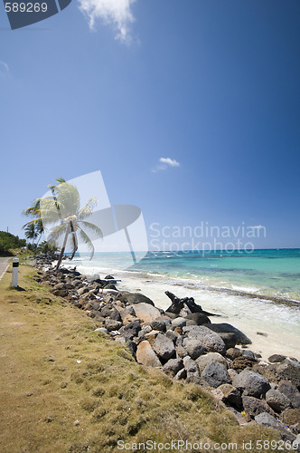 Image of seaside malecon road sallie peachie beach corn island nicaragua