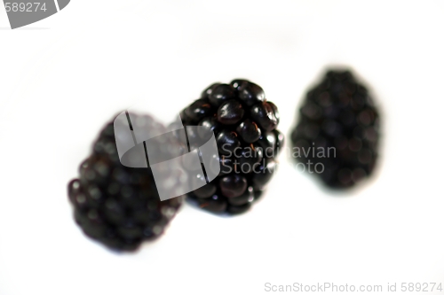 Image of Blackberry