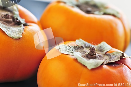 Image of Persimmons