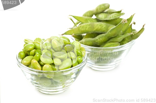 Image of Soy beans