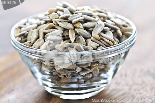 Image of Sunflower seeds