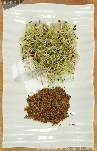 Image of Sprouts