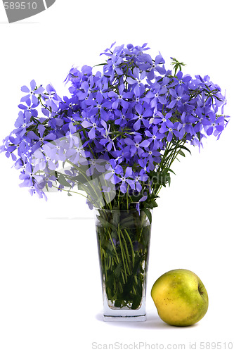 Image of Bouquet of blue flower about an flavovirent apple