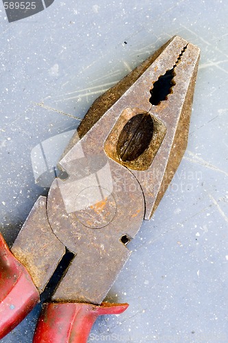 Image of Abandoned Pliers