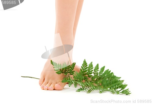 Image of female feet with green leaf