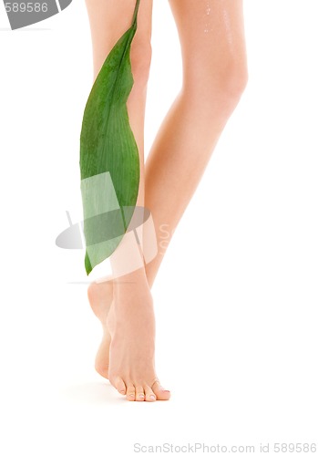 Image of female legs with green leaf