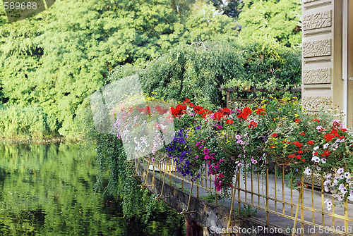 Image of Green balcony with flowers