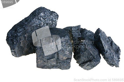 Image of Black Polish coal