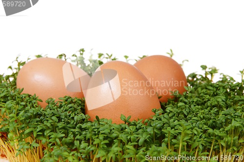 Image of Cress and eggs