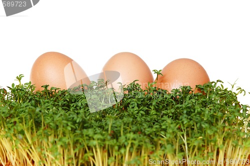 Image of Cress and eggs