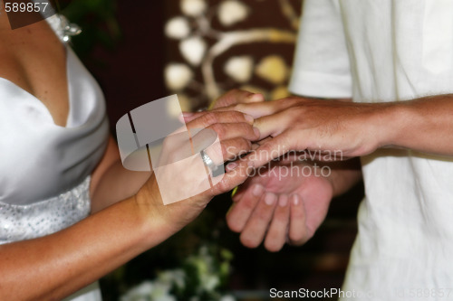 Image of Bridal portrait