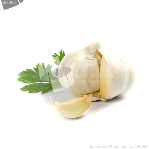 Image of garlic with green parsley