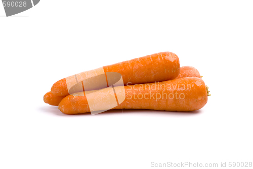 Image of fresh carrots