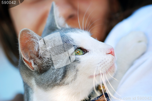 Image of cat in child hands