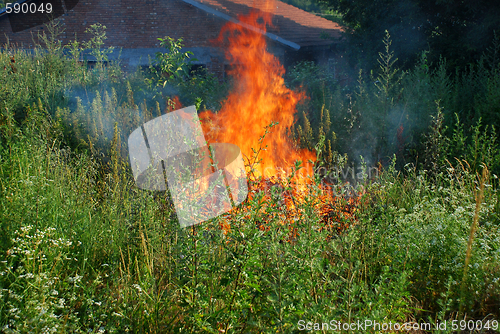 Image of Fire in green grass