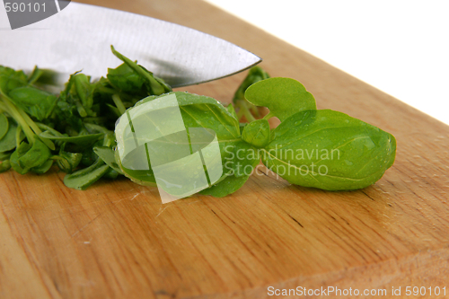 Image of Basil preparation