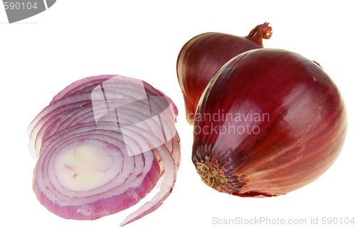 Image of Red onion with path