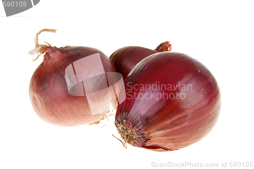 Image of Red onion