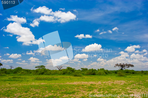 Image of African Landscape