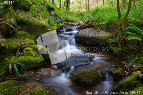 Image of Creek