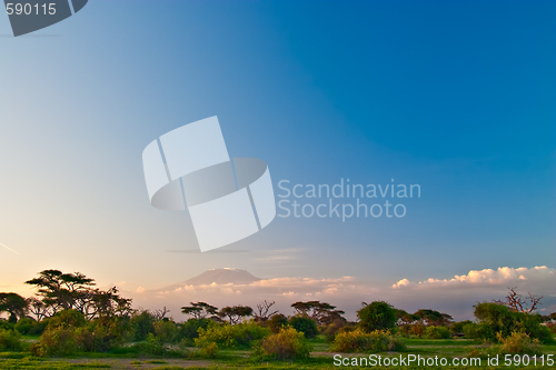 Image of Kilimanjaro at Sunrise